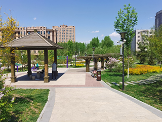 东升花园景观工程